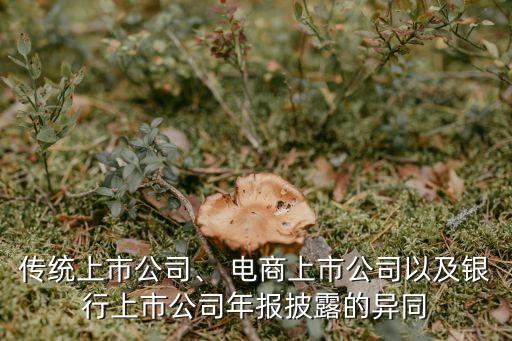 傳統(tǒng)上市公司、 電商上市公司以及銀行上市公司年報(bào)披露的異同