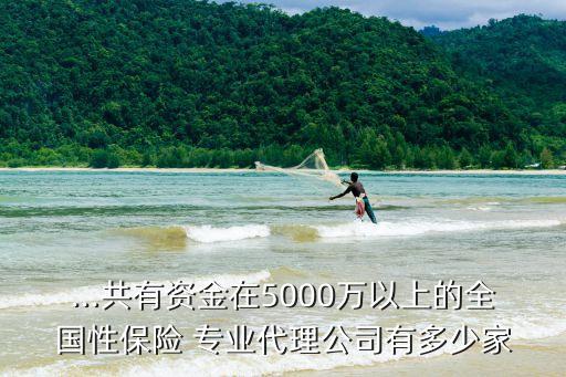 ...共有資金在5000萬(wàn)以上的全國(guó)性保險(xiǎn) 專業(yè)代理公司有多少家