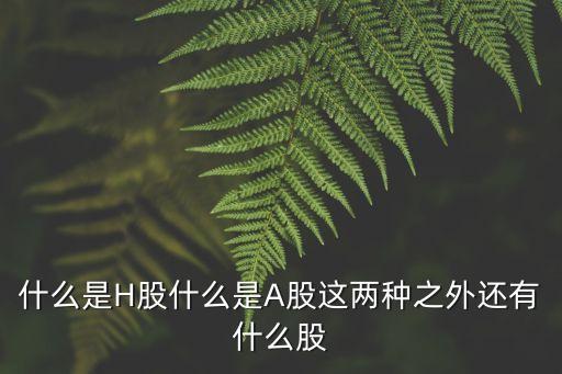 同一公司的a股和h股,哪些公司有a股還有h股