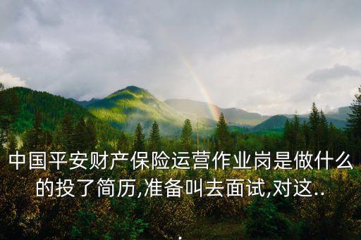 中國平安財(cái)產(chǎn)保險(xiǎn)運(yùn)營作業(yè)崗是做什么的投了簡歷,準(zhǔn)備叫去面試,對(duì)這...