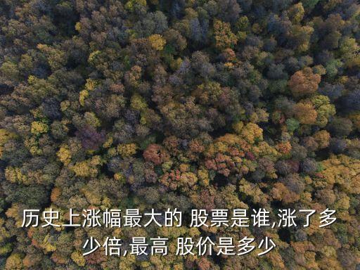 歷史上漲幅最大的 股票是誰,漲了多少倍,最高 股價(jià)是多少