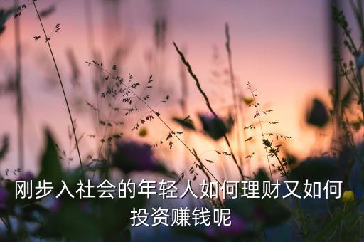 剛步入社會的年輕人如何理財又如何 投資賺錢呢