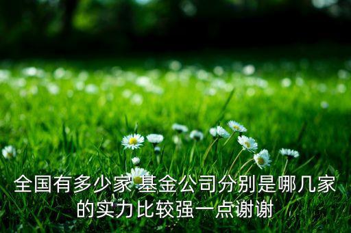 全國(guó)有多少家 基金公司分別是哪幾家的實(shí)力比較強(qiáng)一點(diǎn)謝謝