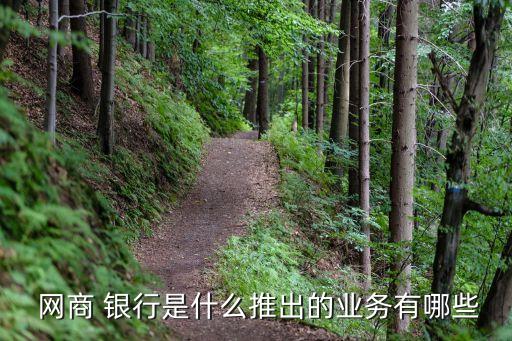  網(wǎng)商 銀行是什么推出的業(yè)務有哪些