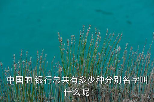 中國的 銀行總共有多少種分別名字叫什么呢