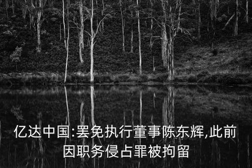 億達中國:罷免執(zhí)行董事陳東輝,此前因職務(wù)侵占罪被拘留