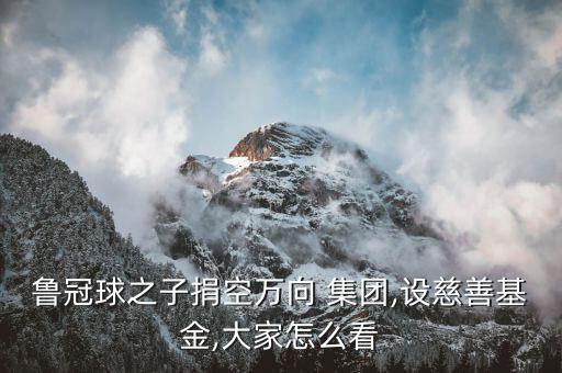 魯冠球之子捐空萬向 集團,設慈善基金,大家怎么看
