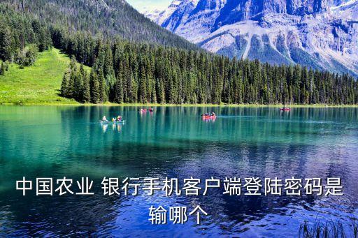 第一次登錄農(nóng)行電話銀行,農(nóng)行電話銀行密碼忘記了怎么辦