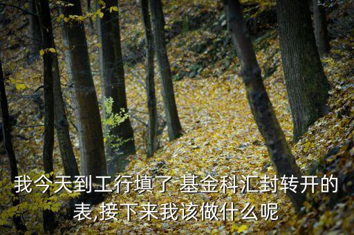 我今天到工行填了 基金科匯封轉(zhuǎn)開的表,接下來我該做什么呢