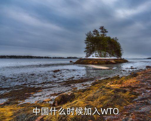 中國(guó)當(dāng)年是如何加入wto的