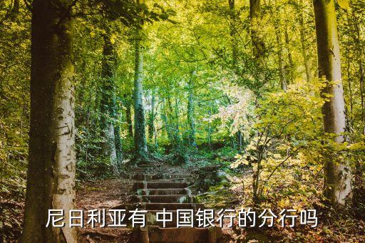 尼日利亞有 中國銀行的分行嗎