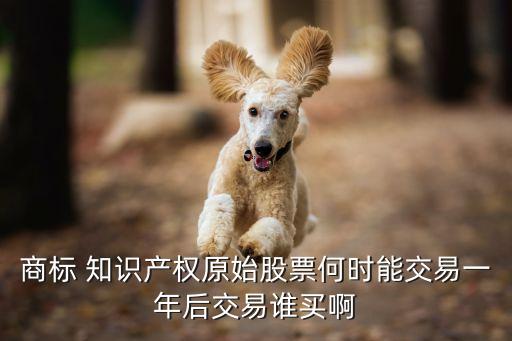 商標(biāo) 知識(shí)產(chǎn)權(quán)原始股票何時(shí)能交易一年后交易誰(shuí)買(mǎi)啊