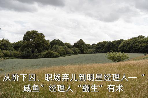 從階下囚、職場棄兒到明星經(jīng)理人—“咸魚”經(jīng)理人“翻生”有術(shù)