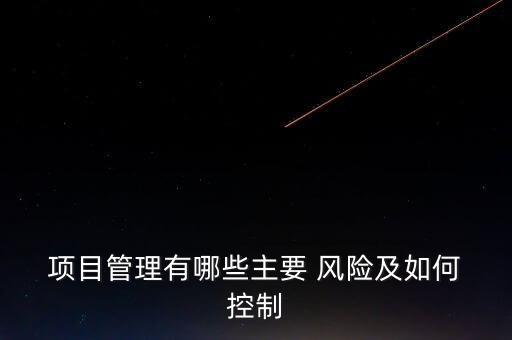  項目管理有哪些主要 風險及如何 控制