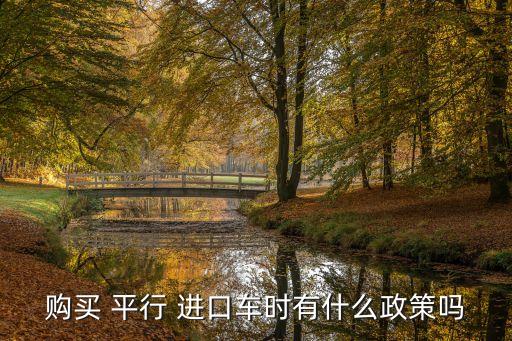 購買 平行 進(jìn)口車時(shí)有什么政策嗎