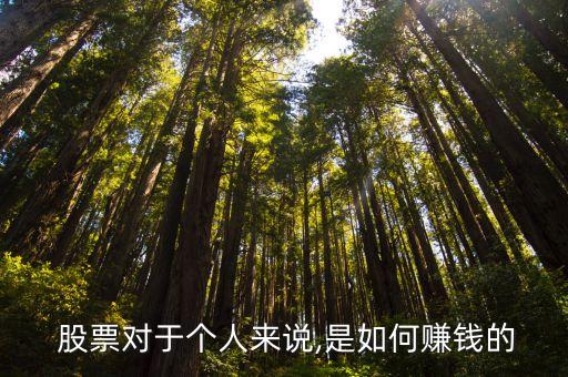  股票對(duì)于個(gè)人來說,是如何賺錢的