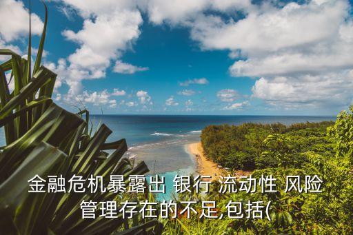 金融危機(jī)暴露出 銀行 流動(dòng)性 風(fēng)險(xiǎn)管理存在的不足,包括(