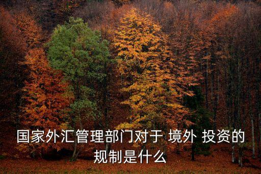 國(guó)家外匯管理部門對(duì)于 境外 投資的規(guī)制是什么