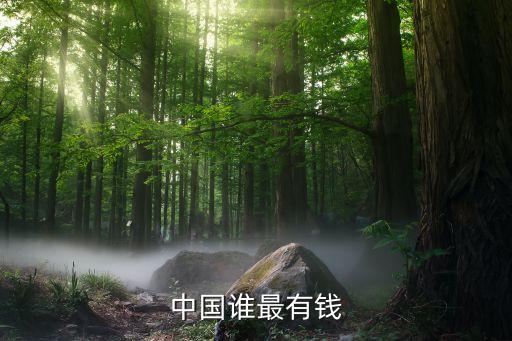中國(guó)誰(shuí)最有錢