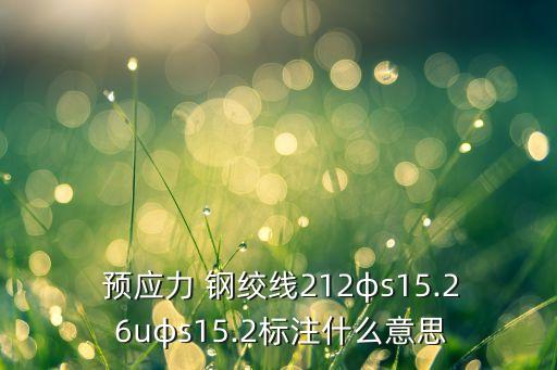  預(yù)應(yīng)力 鋼絞線212φs15.2 6uφs15.2標注什么意思