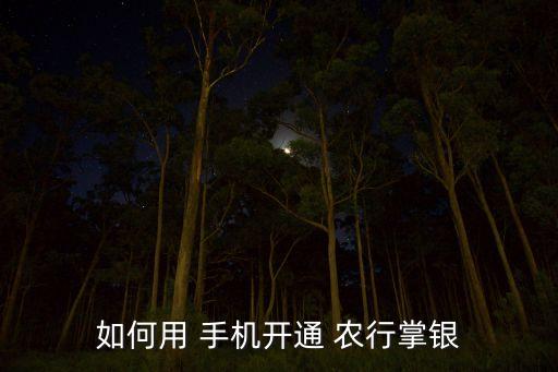 農行手機銀行u,手機銀行農行下載