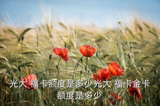 光大 ?？~度是多少光大 福卡金卡額度是多少