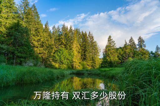 萬隆持有 雙匯多少股份