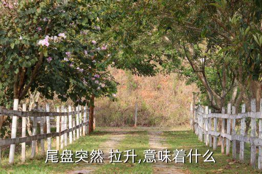 尾盤突然 拉升,意味著什么