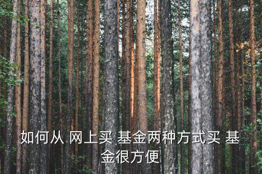 怎樣網上購買基金,怎樣在網上購買汽車票