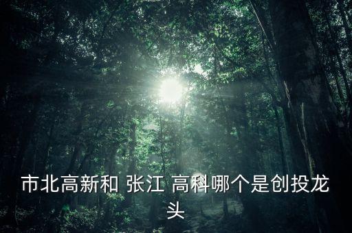 市北高新和 張江 高科哪個是創(chuàng)投龍頭