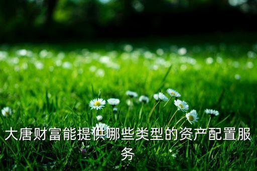 大唐財(cái)富能提供哪些類型的資產(chǎn)配置服務(wù)