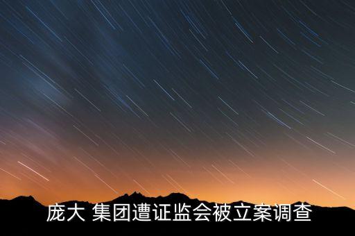  龐大 集團(tuán)遭證監(jiān)會被立案調(diào)查