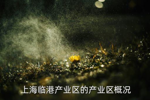  上海臨港產(chǎn)業(yè)區(qū)的產(chǎn)業(yè)區(qū)概況