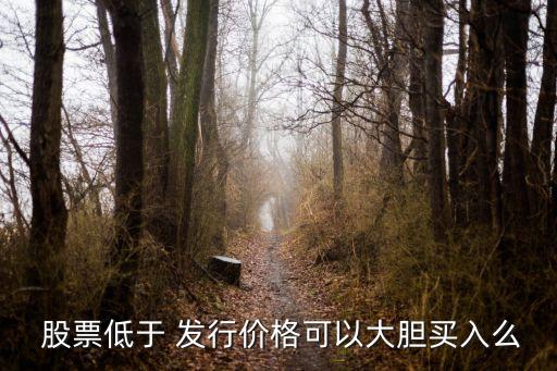  股票低于 發(fā)行價(jià)格可以大膽買入么