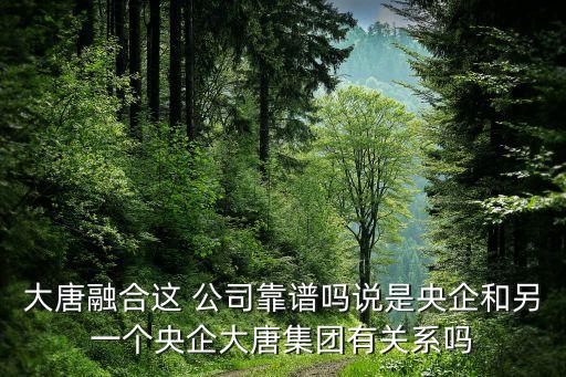 大唐融合這 公司靠譜嗎說是央企和另一個(gè)央企大唐集團(tuán)有關(guān)系嗎