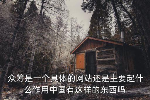  眾籌是一個具體的網站還是主要起什么作用中國有這樣的東西嗎