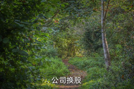 母子公司換股