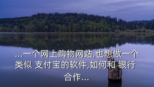 ...一個(gè)網(wǎng)上購(gòu)物網(wǎng)站,也想做一個(gè)類(lèi)似 支付寶的軟件,如何和 銀行 合作...