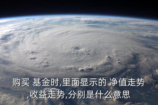 基金凈值實(shí)時,007343基金凈值實(shí)時