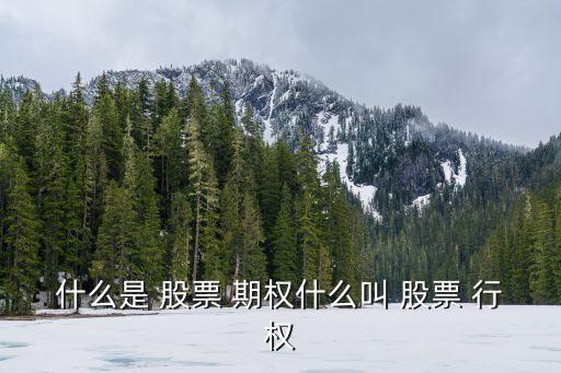 股票期權(quán)的行權(quán)價格是什么意思,公司給了10萬期權(quán)有用嗎