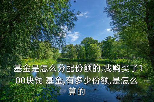  基金是怎么分配份額的,我購買了100塊錢 基金,有多少份額,是怎么算的