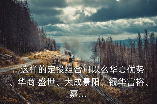 ...這樣的定投組合可以么華夏優(yōu)勢(shì)、華商 盛世、大成景陽(yáng)、銀華富裕、嘉...