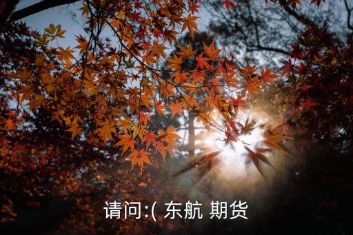 請(qǐng)問:( 東航 期貨