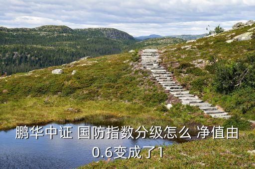 鵬華中證 國防指數(shù)分級(jí)怎么 凈值由0.6變成了1