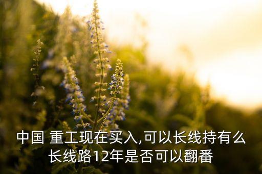 中國 重工現(xiàn)在買入,可以長線持有么長線路12年是否可以翻番