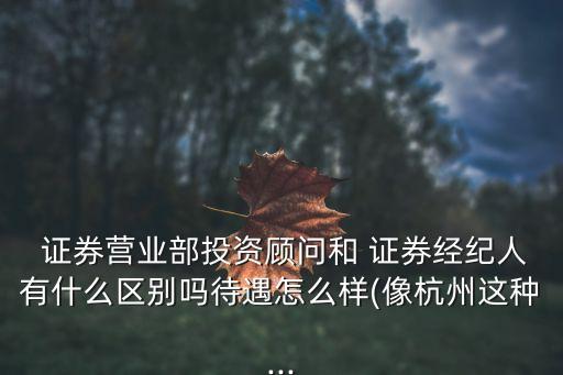  證券營業(yè)部投資顧問和 證券經(jīng)紀人有什么區(qū)別嗎待遇怎么樣(像杭州這種...