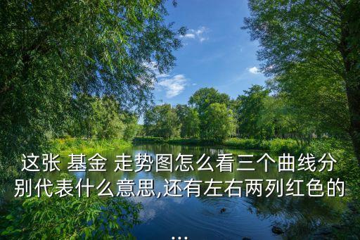 這張 基金 走勢(shì)圖怎么看三個(gè)曲線分別代表什么意思,還有左右兩列紅色的...