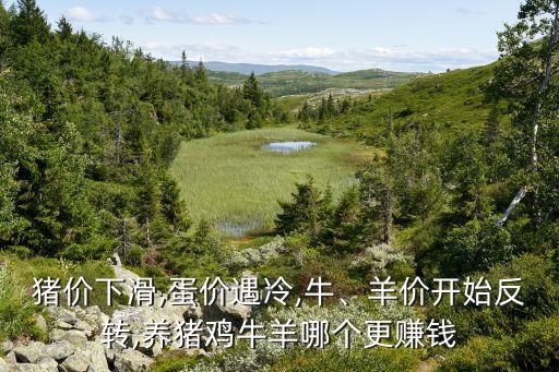 豬價(jià)下滑,蛋價(jià)遇冷,牛、羊價(jià)開始反轉(zhuǎn),養(yǎng)豬雞牛羊哪個(gè)更賺錢