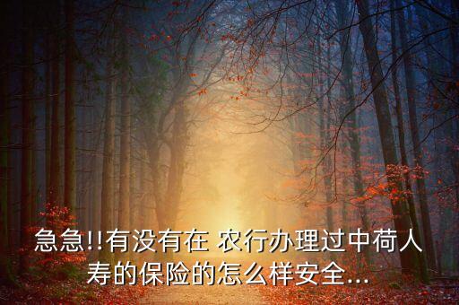 急急!!有沒有在 農(nóng)行辦理過中荷人壽的保險的怎么樣安全...