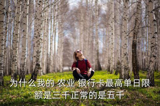 農業(yè)銀行卡盜刷3000